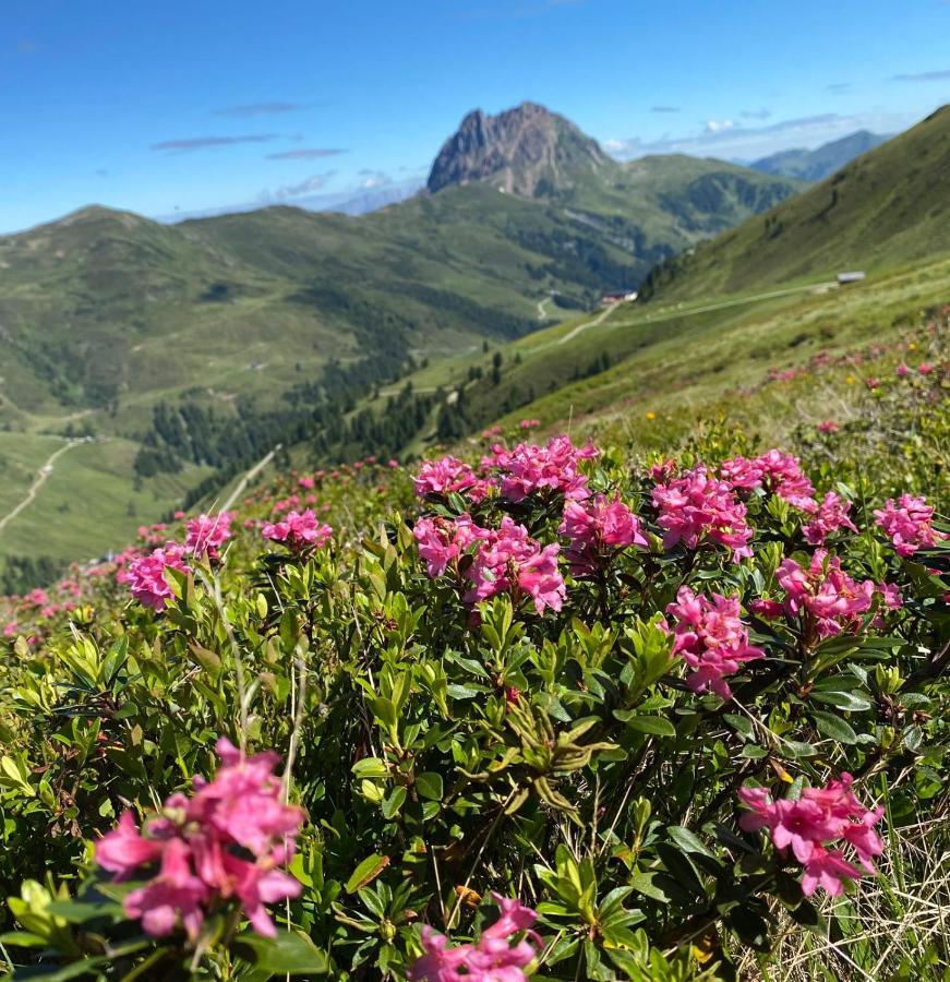 Appartement Knapp Wald im Pinzgau Exteriér fotografie